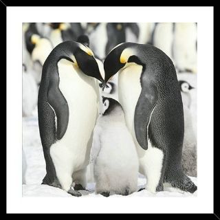 Obrázek z Obrázek barevný 30x30cm - tučňák 